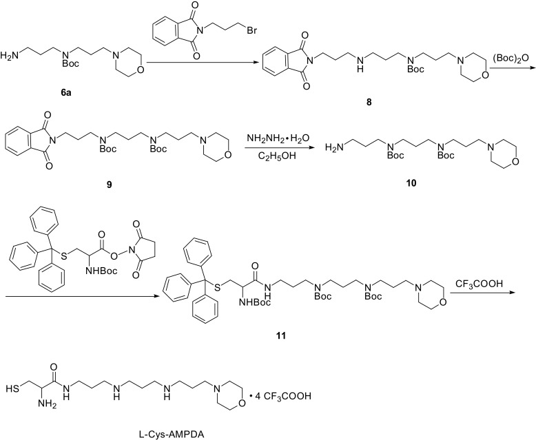 Scheme 3