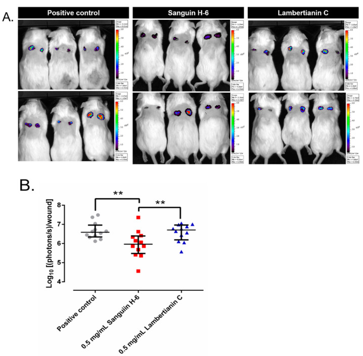 Figure 10