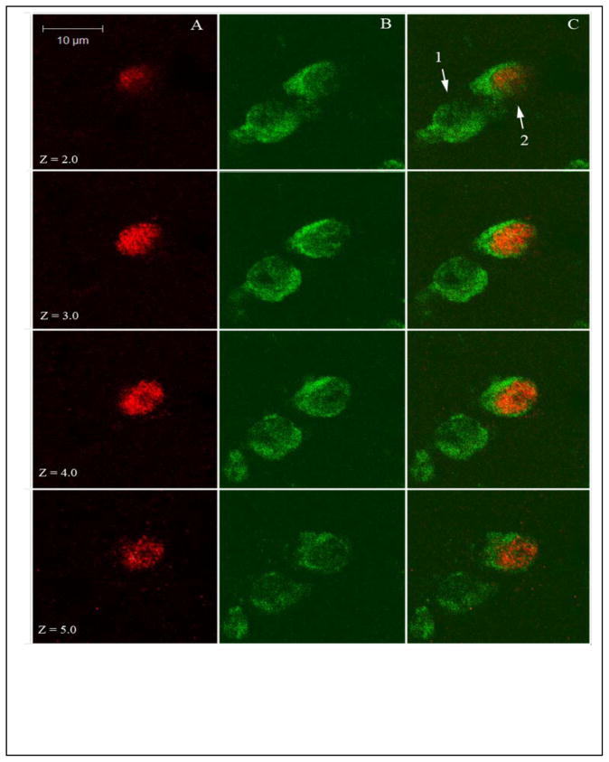 Figure 6