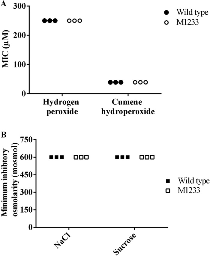 FIG 6