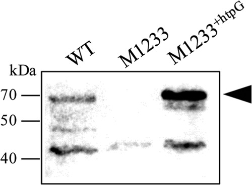 FIG 2