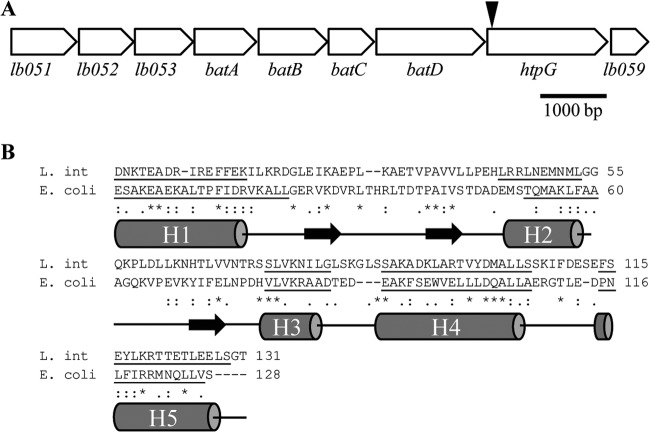 FIG 1