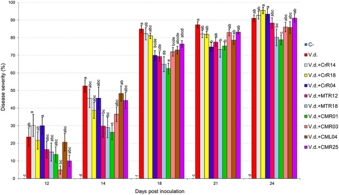 FIGURE 3