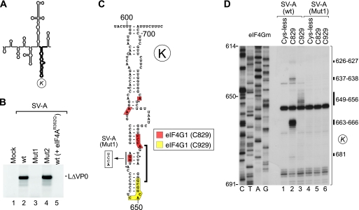 Fig 9