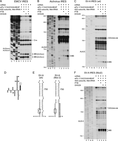 Fig 10