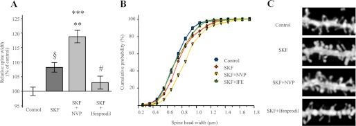 FIGURE 7.