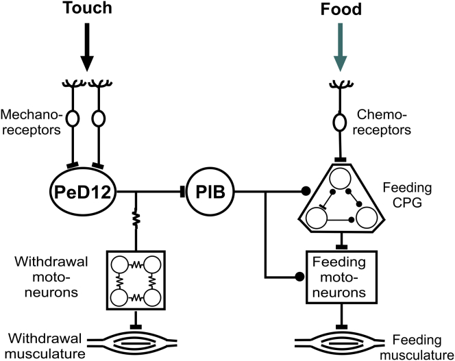 Figure 4