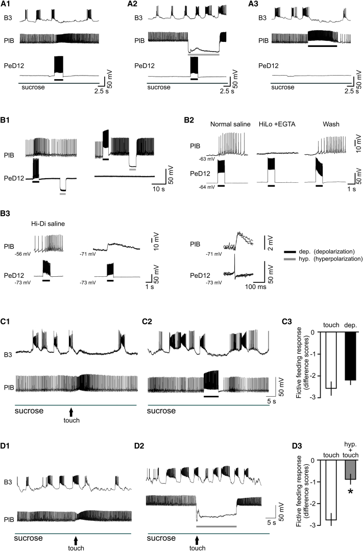 Figure 3