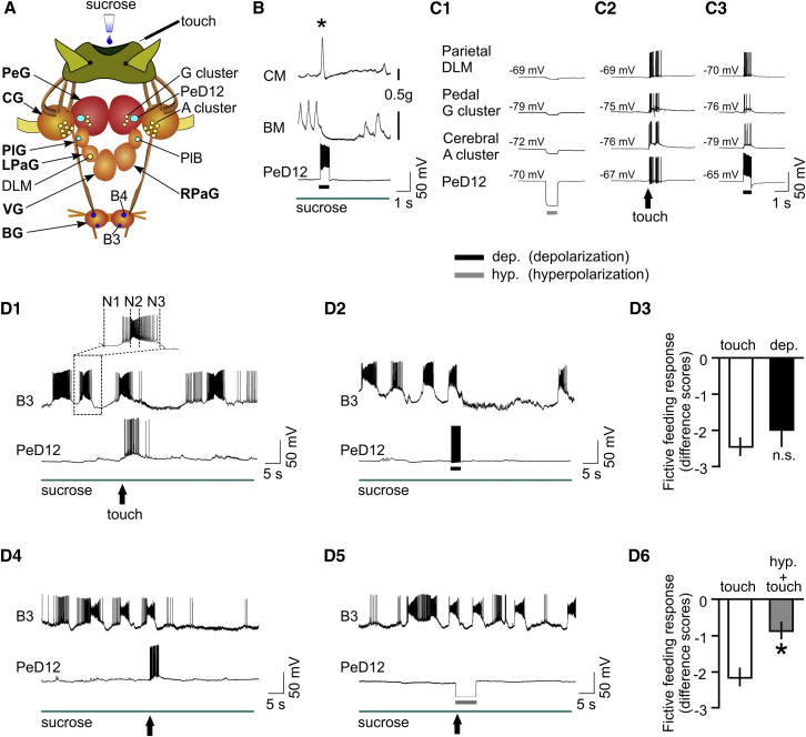 Figure 2