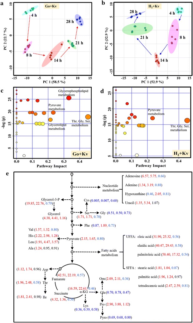 Fig. 3