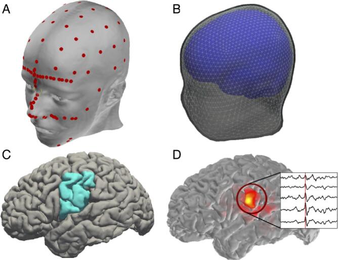 Fig. 1