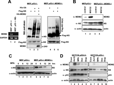 FIGURE 4.