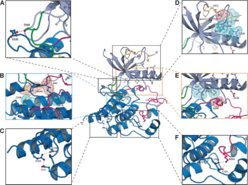 FIGURE 2