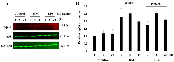 Figure 5