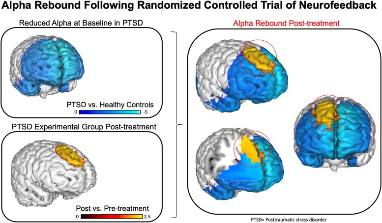 Graphical abstract