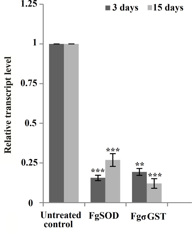 Fig 5