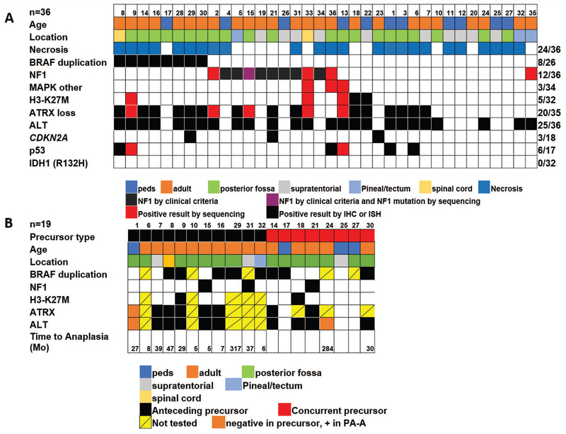 Figure 5: