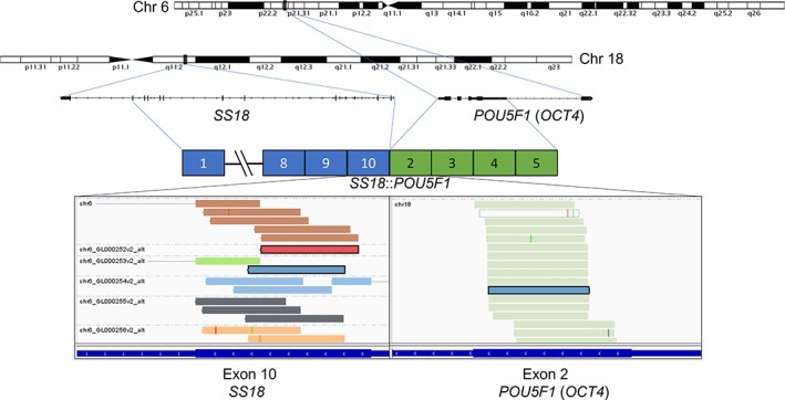 FIGURE 2