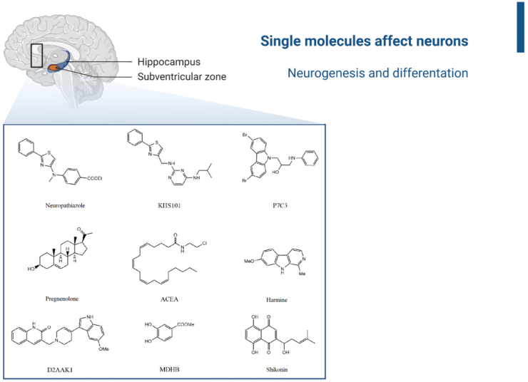 Figure 4