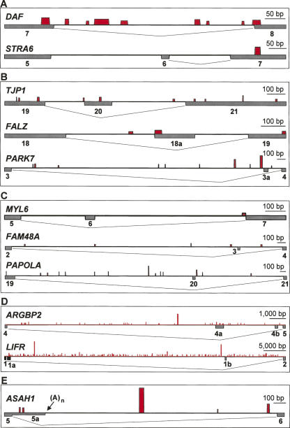 FIGURE 7.