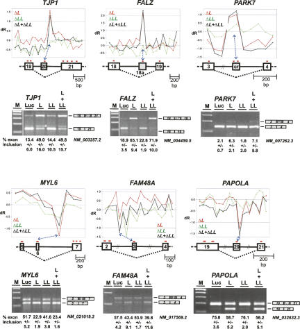 FIGURE 4.