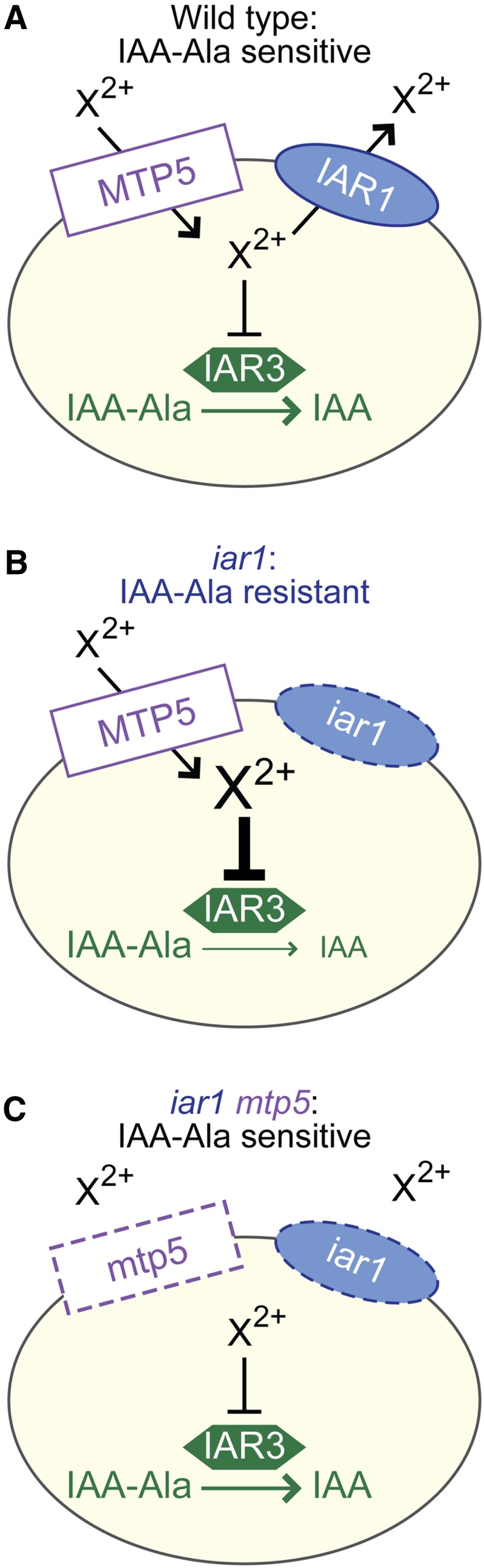 Figure 6 