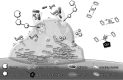 FIG 1