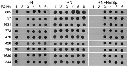 FIG. 3.