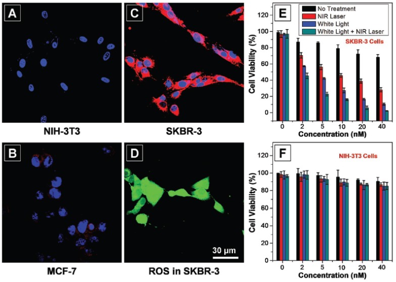 Figure 16