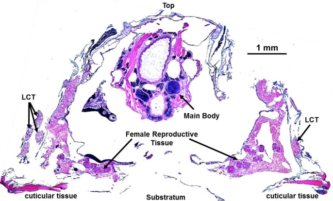 Fig 4