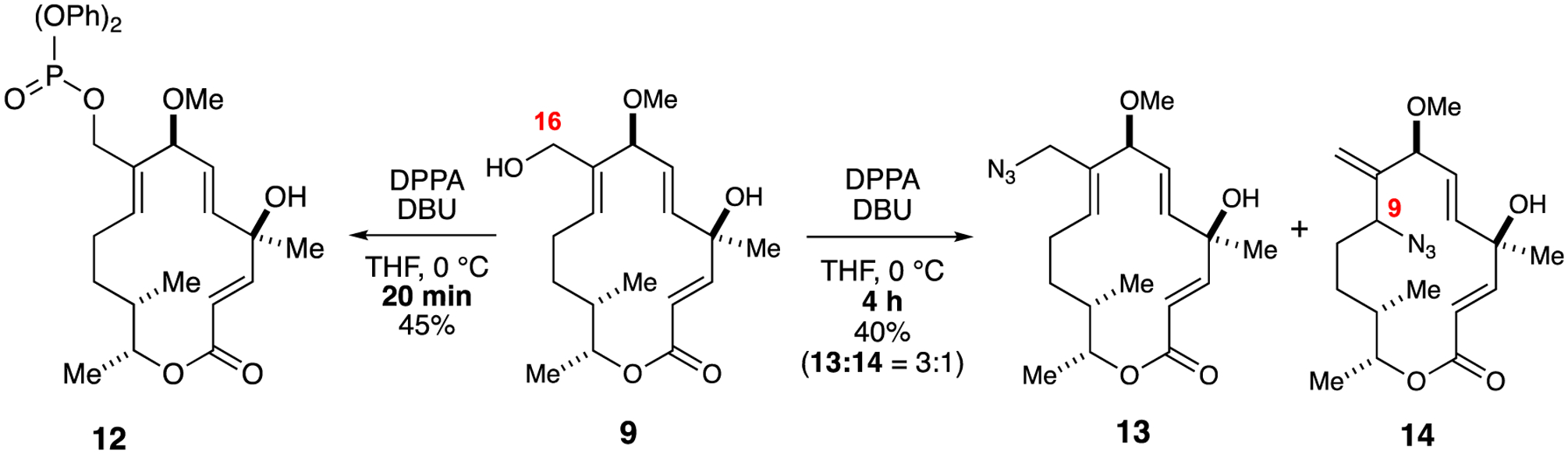 Scheme 4.