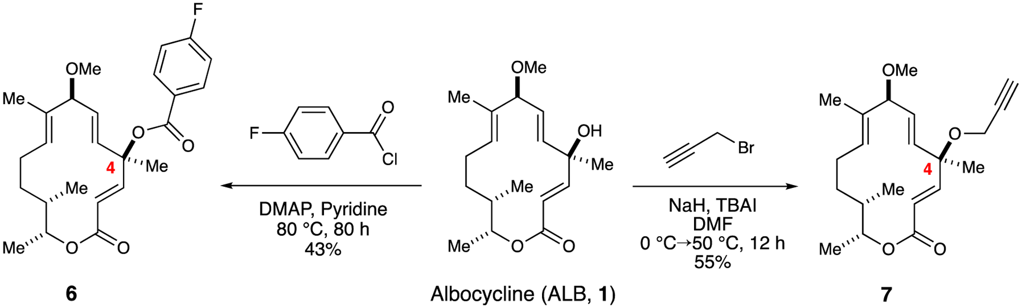 Scheme 1.