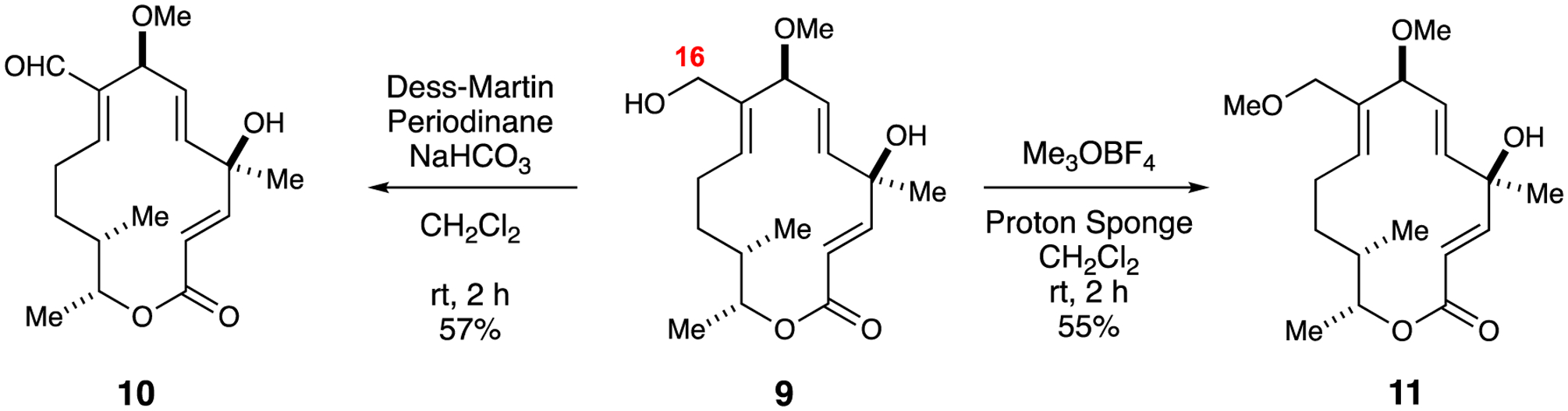 Scheme 3.