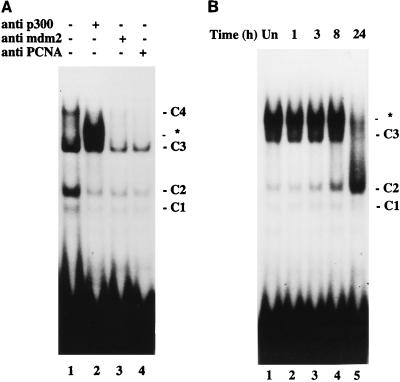 FIG. 7