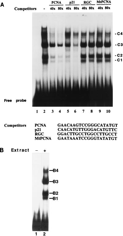 FIG. 5