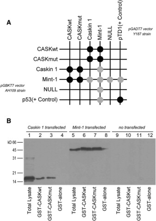 Figure 4