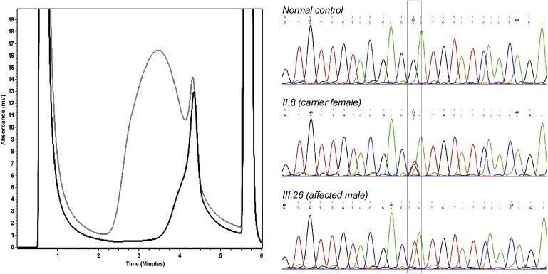 Figure 1