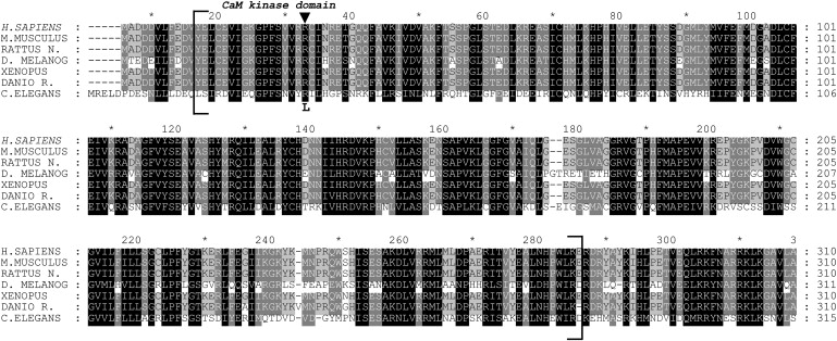 Figure 3