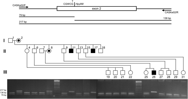 Figure 2