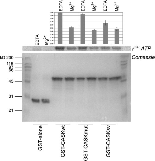 Figure 5