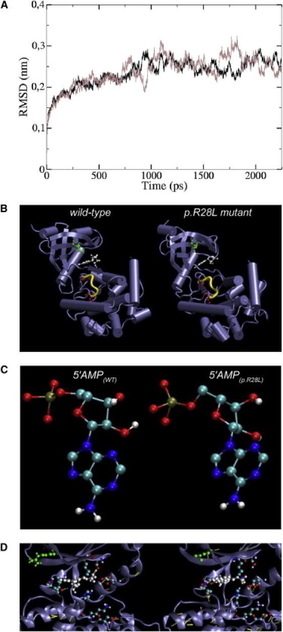 Figure 6