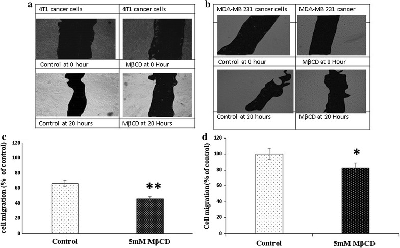 Fig. 7