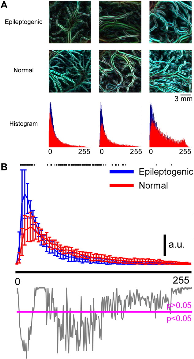 Fig. 6