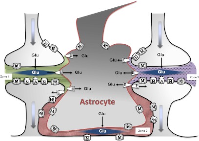 Fig. 2.