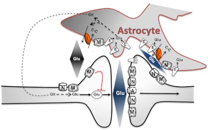 Fig. 1.