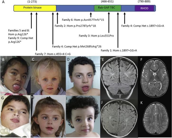 Figure 1