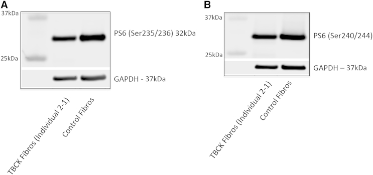 Figure 3