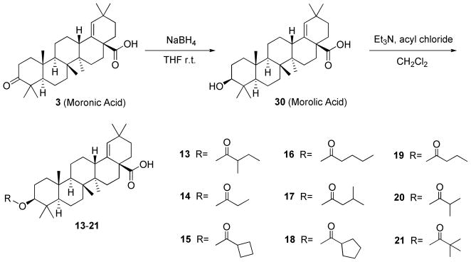 Scheme 4