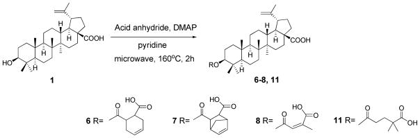 Scheme 2