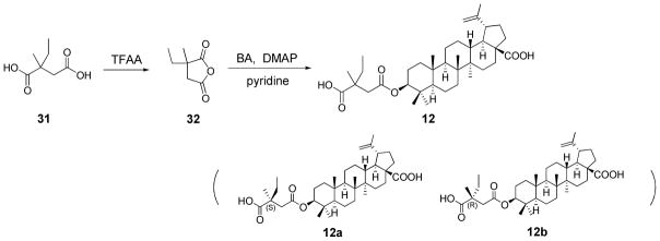 Scheme 5